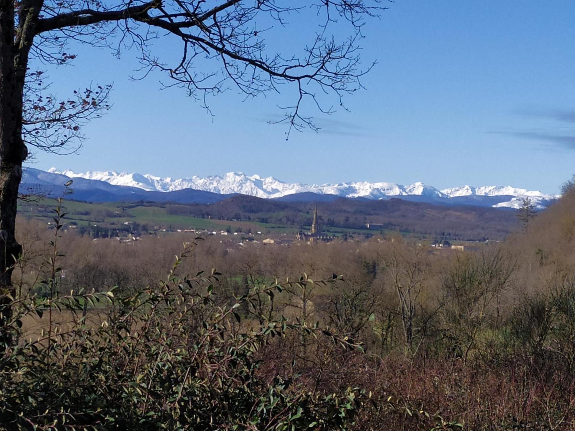 - - - - -Les Colombages - - - - Chambre D'Hotes-Gite- Classement Gite 3 Etoiles Mirepoix  Esterno foto