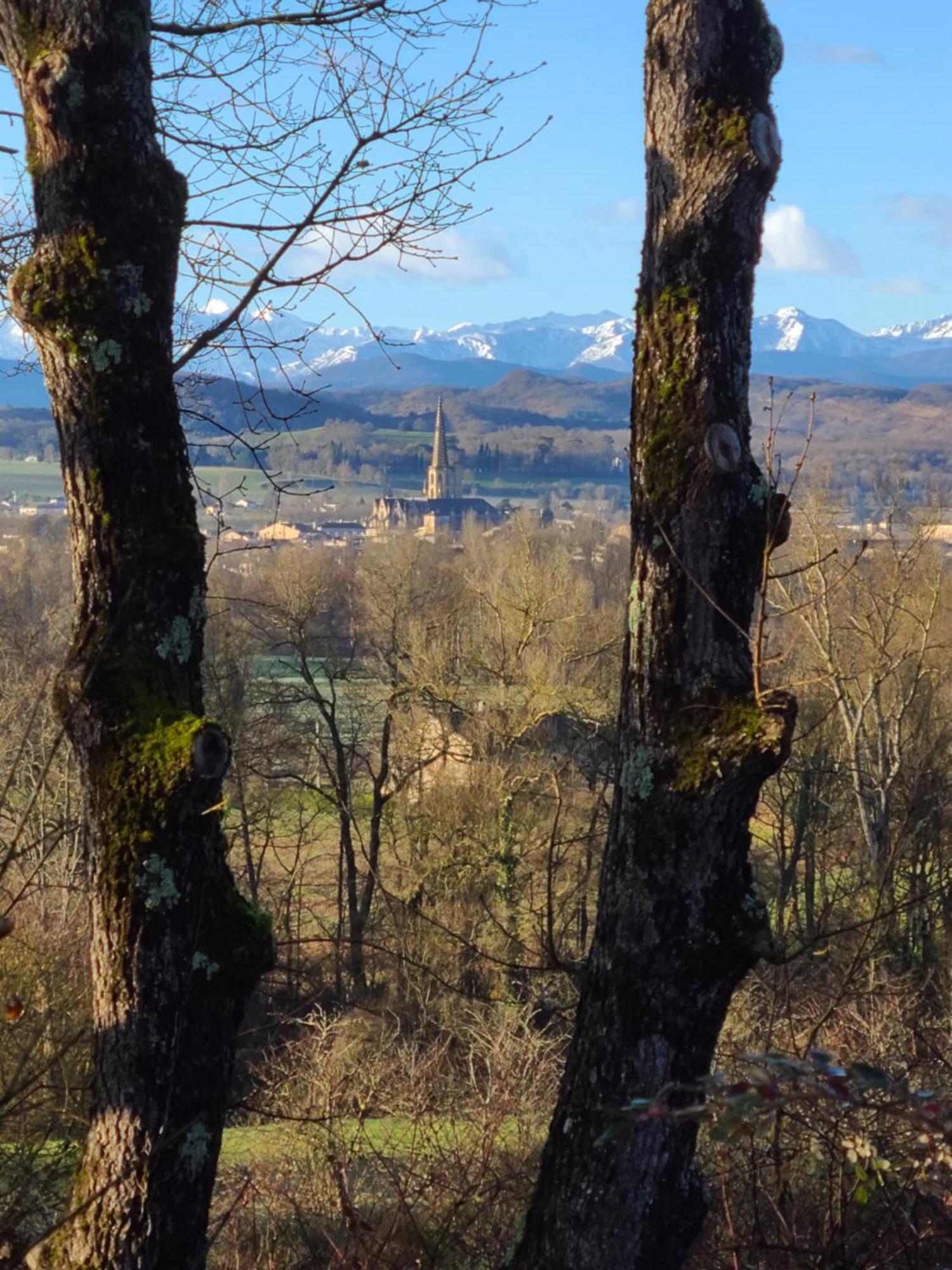 - - - - -Les Colombages - - - - Chambre D'Hotes-Gite- Classement Gite 3 Etoiles Mirepoix  Esterno foto
