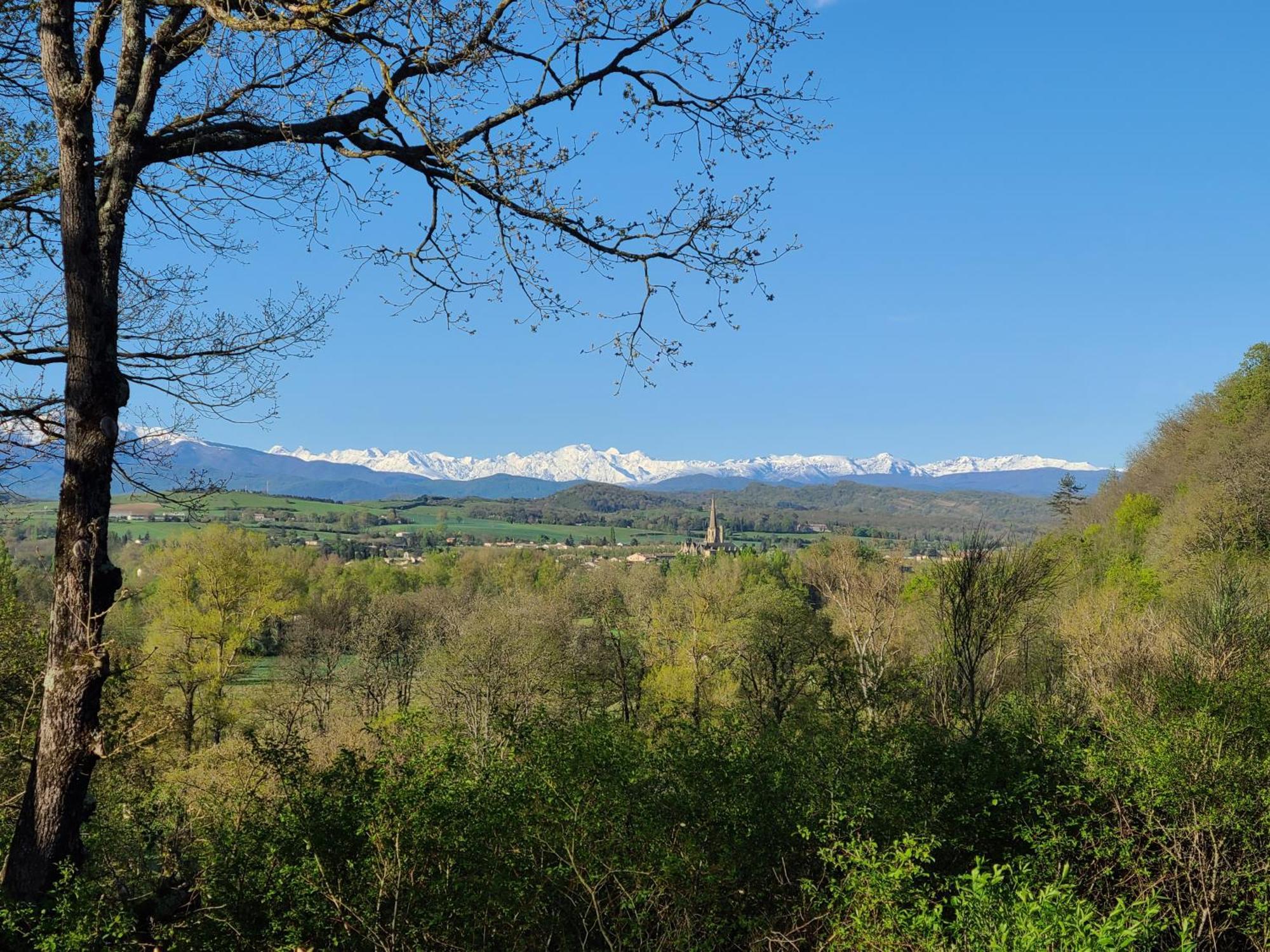 - - - - -Les Colombages - - - - Chambre D'Hotes-Gite- Classement Gite 3 Etoiles Mirepoix  Esterno foto